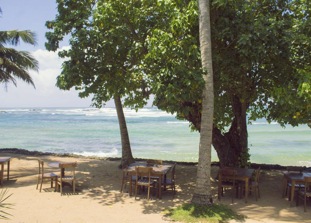 Palm Villa Mirissa Banduramulla Ngoại thất bức ảnh
