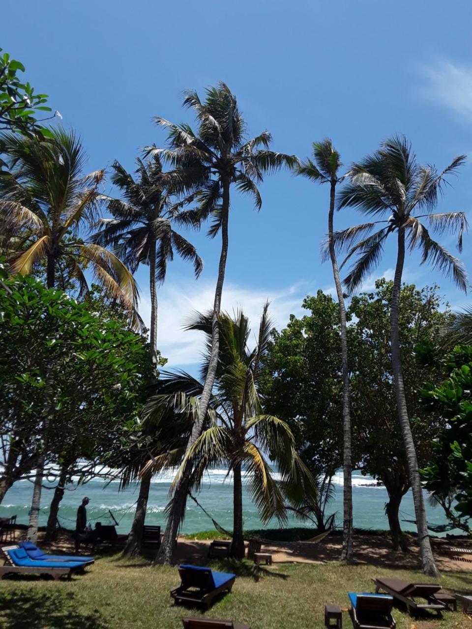 Palm Villa Mirissa Banduramulla Ngoại thất bức ảnh