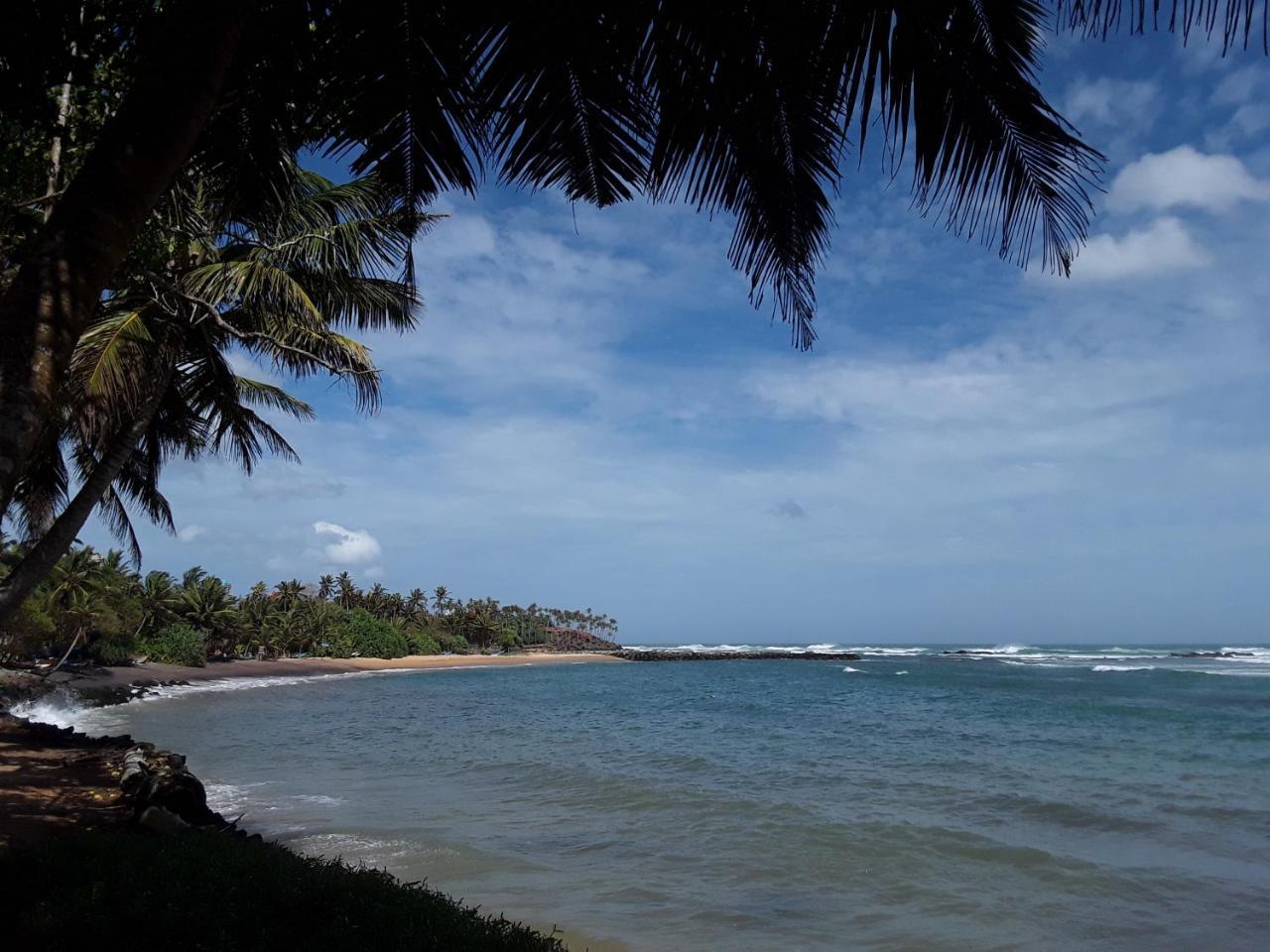 Palm Villa Mirissa Banduramulla Ngoại thất bức ảnh