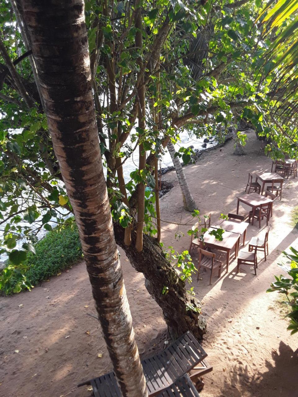 Palm Villa Mirissa Banduramulla Ngoại thất bức ảnh